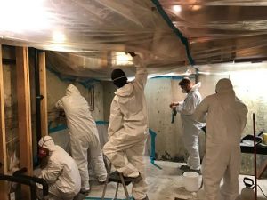 911 Restoration Mold Removal West Houston